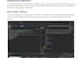 perform professional web application security testing